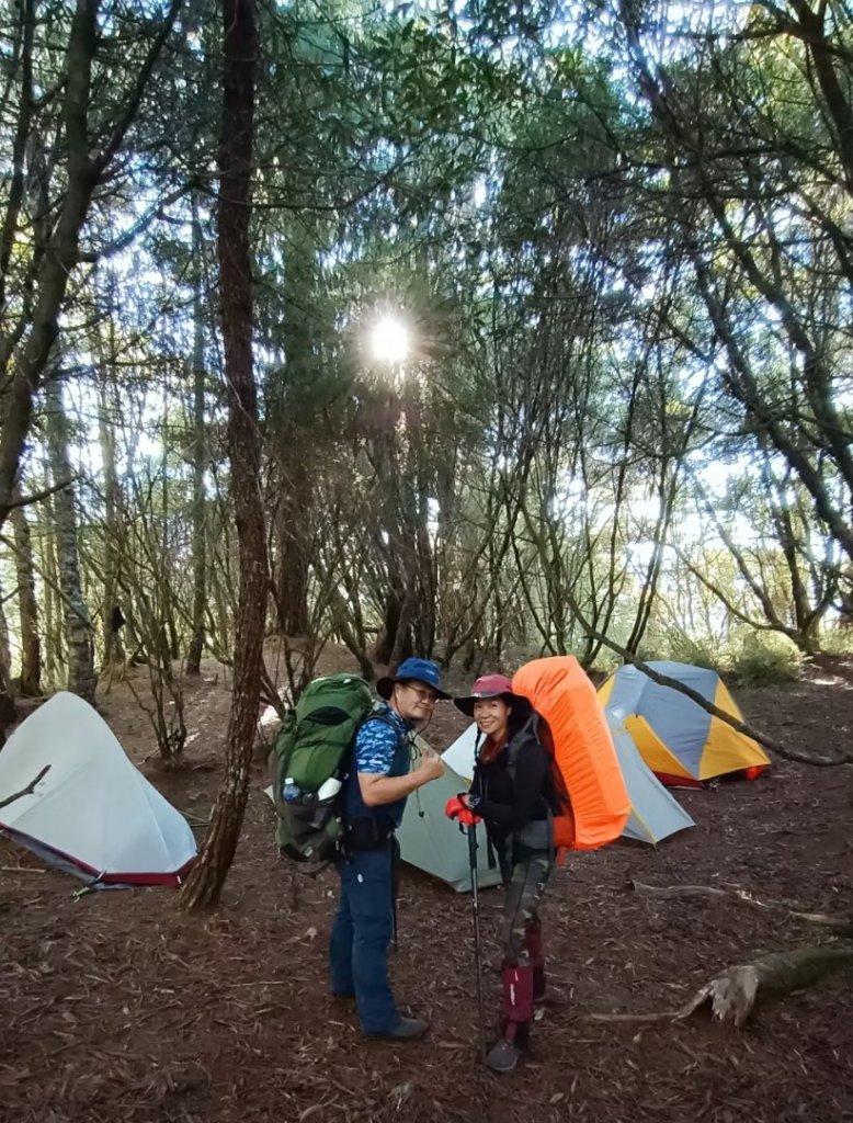 北二段之 甘薯無明_2611831