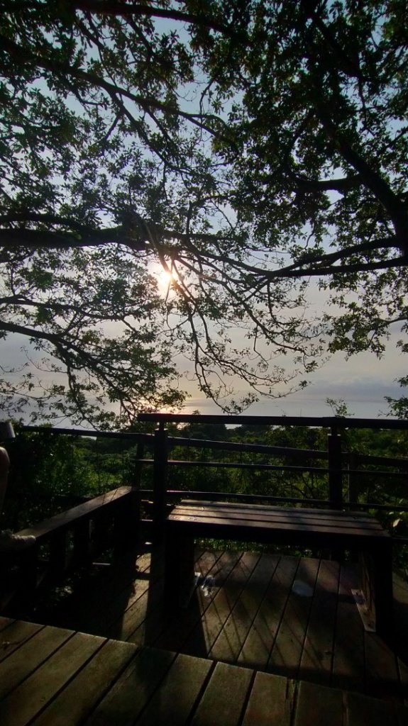 柴山之美~夕陽/夜景_2555781