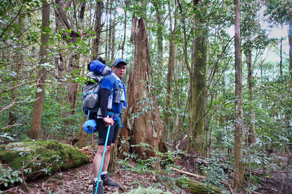 水漾森林。鹿屈山O型2018.04.04_306919