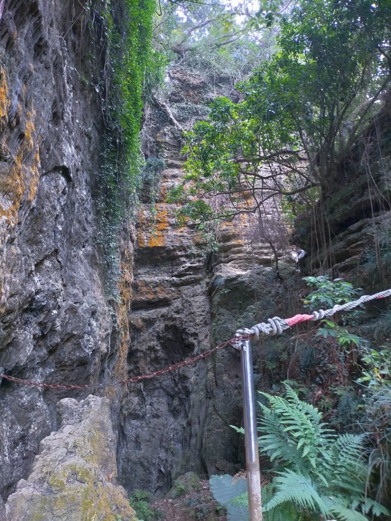 北柴山秘境之旅_2754376