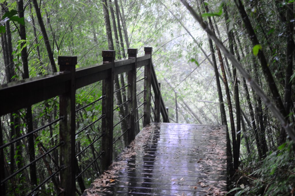 嘉義青年嶺步道 走了一小段就下大雨_617803