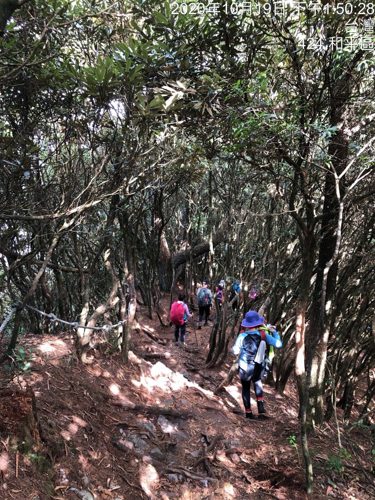 鳶嘴稍來國家步道季秋縱走_1144614