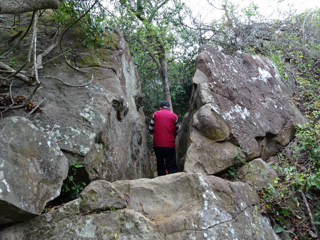 台灣小百岳第72座高雄旗山旗尾山之三角點_551189