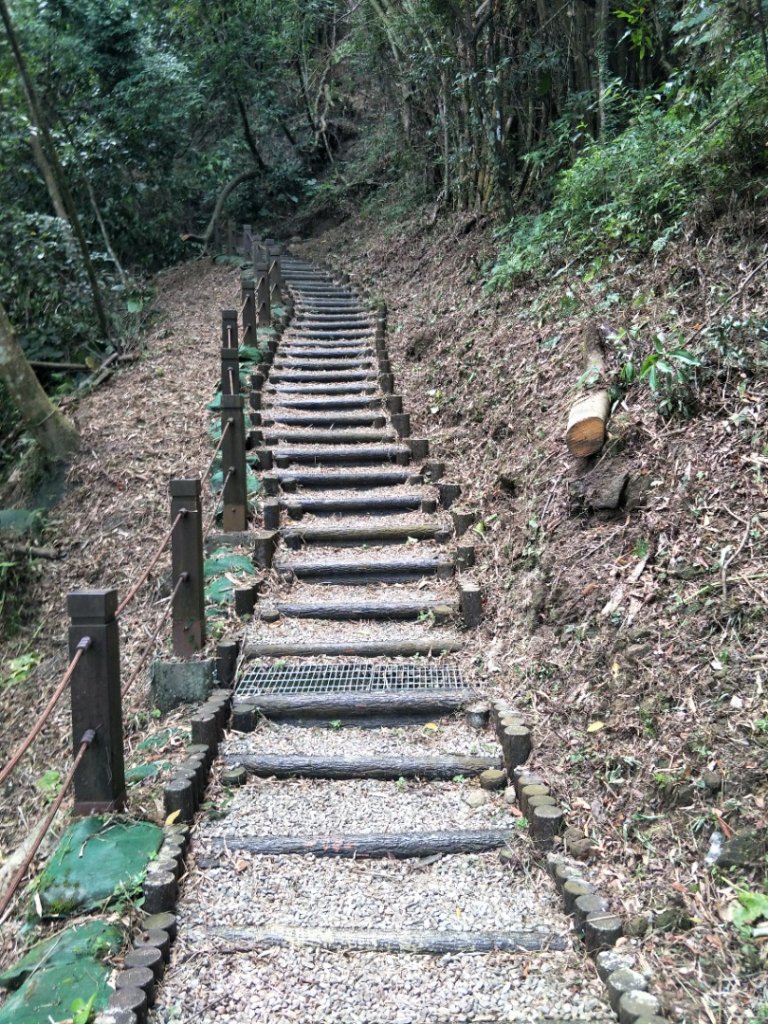 蝙蝠洞_1442911