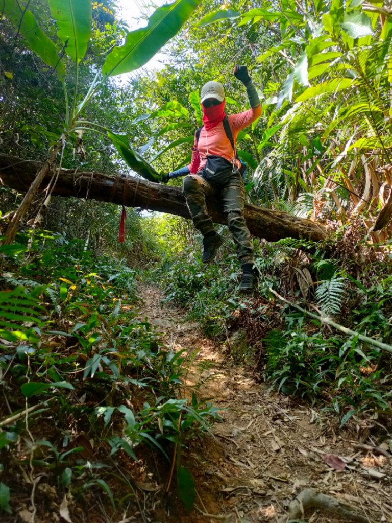 灣潭山和美山O型小走走_1279301