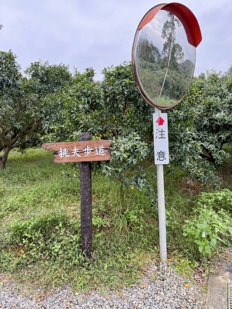 宜蘭_望龍三山&北后寺_2984035