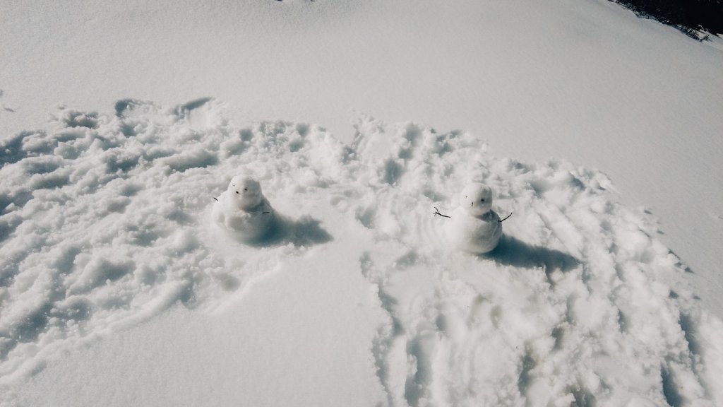 【南湖大山】220126-30 南湖下雪_2089238