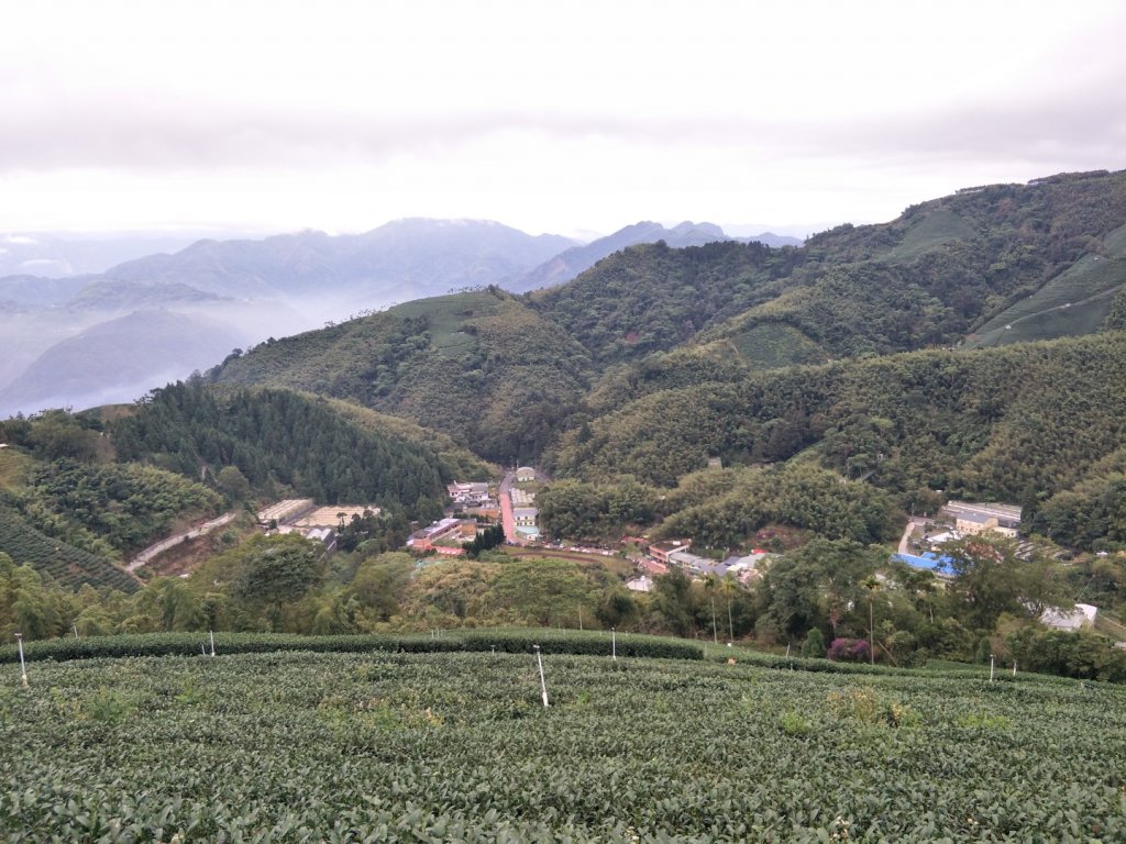 雲嘉七連峰_1560702