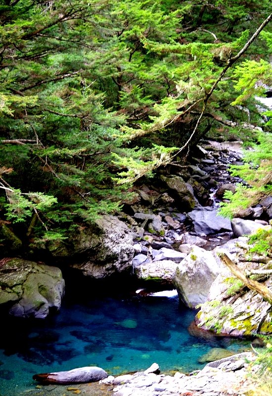 山風15度C吹拂 ~ 合歡溪 步道_1551789