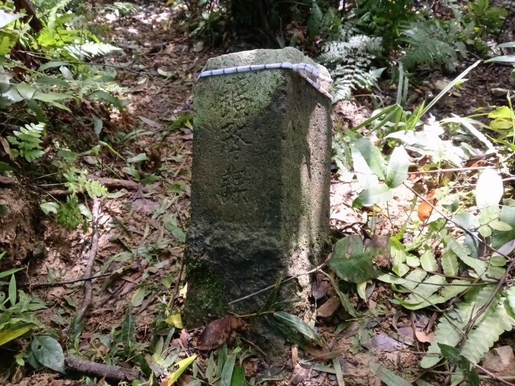 雙溪區雙坪一號橋+盤山坑山+土地公山+474峰+石硿子越嶺古道O型_2936426
