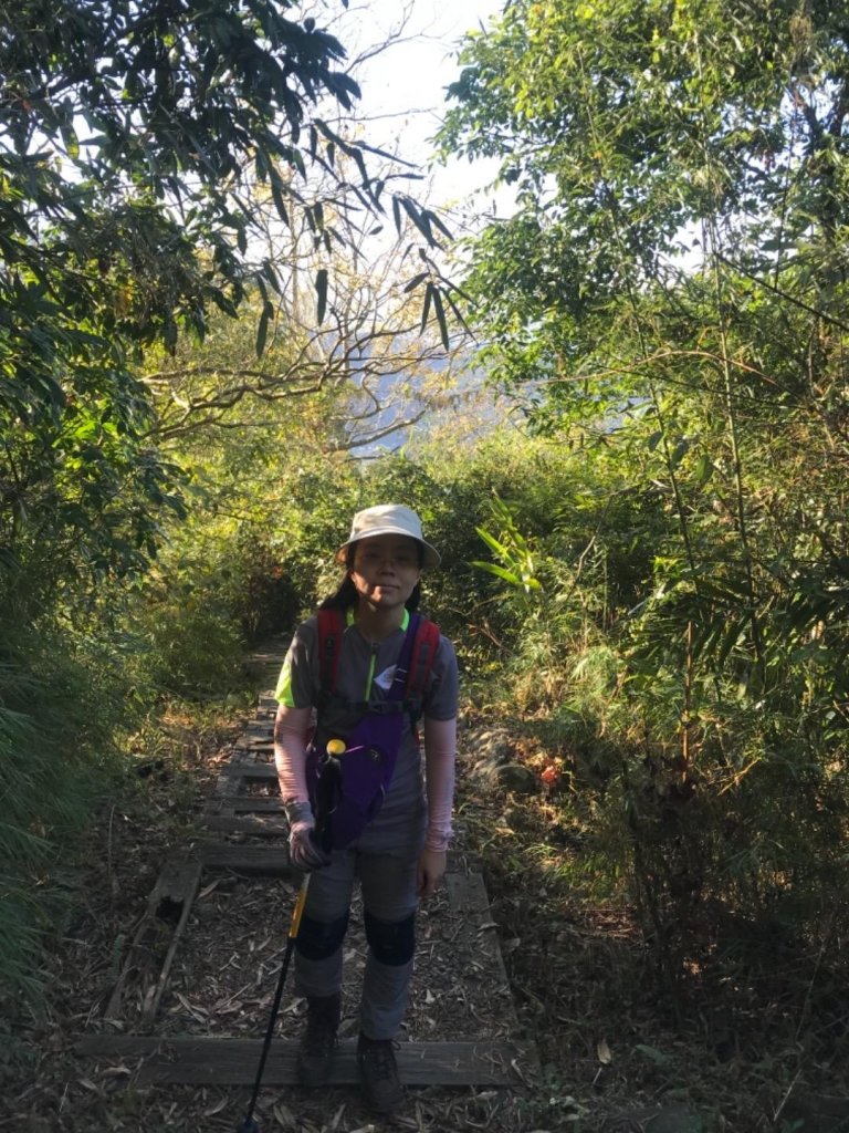 樟腦寮車站上獨立山奉天岩泡茶煮泡麵大巃頂看群峰美景_469811
