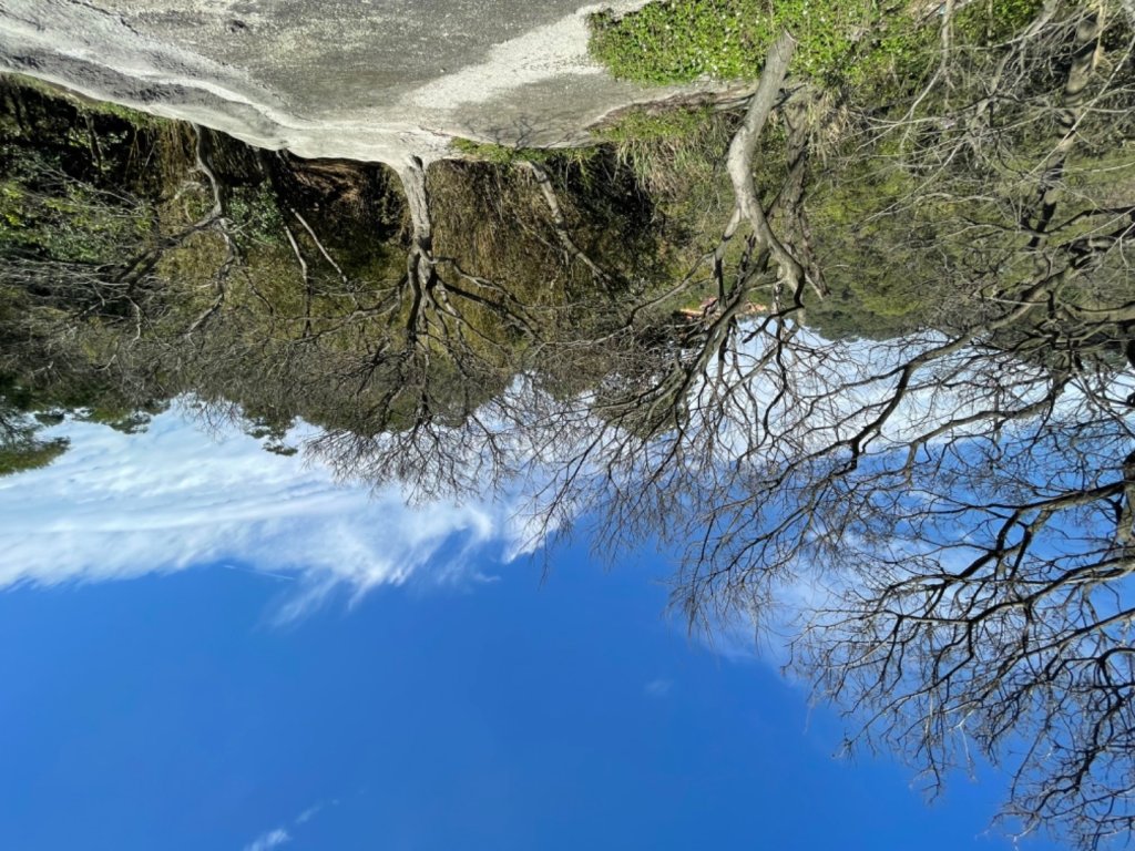 鶯桃縱走_2441610