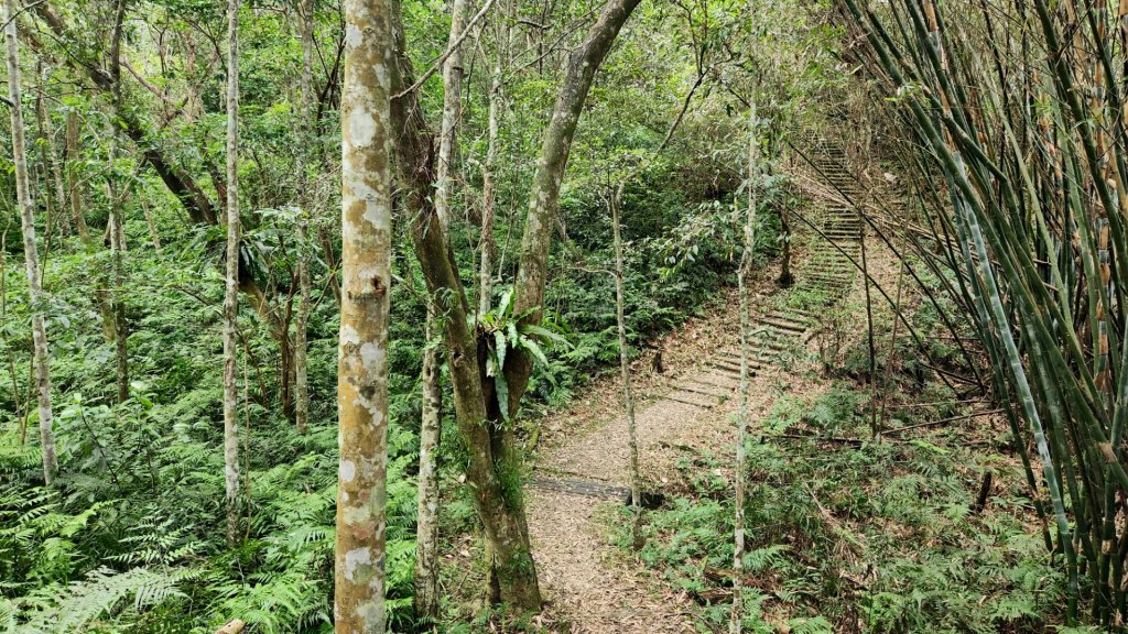 玉山前峰，關子嶺大凍山，宜蘭拳頭姆自然步道_1889327