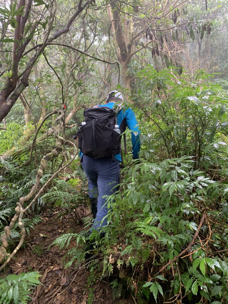 20260124屏東老佛山-老佛山南峰_2992274