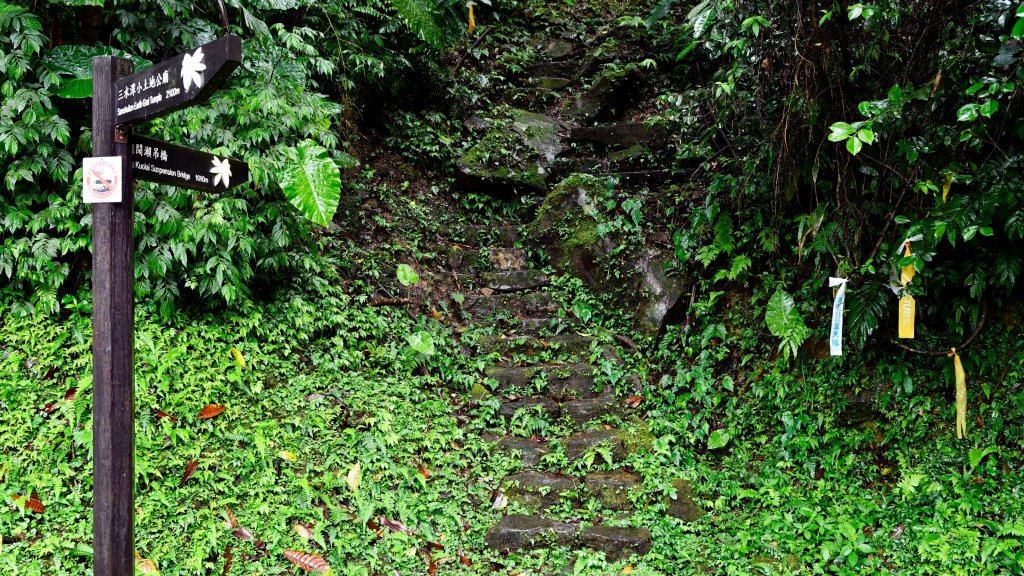 淡蘭古道中路（闊瀨崩山坑環線）_989152