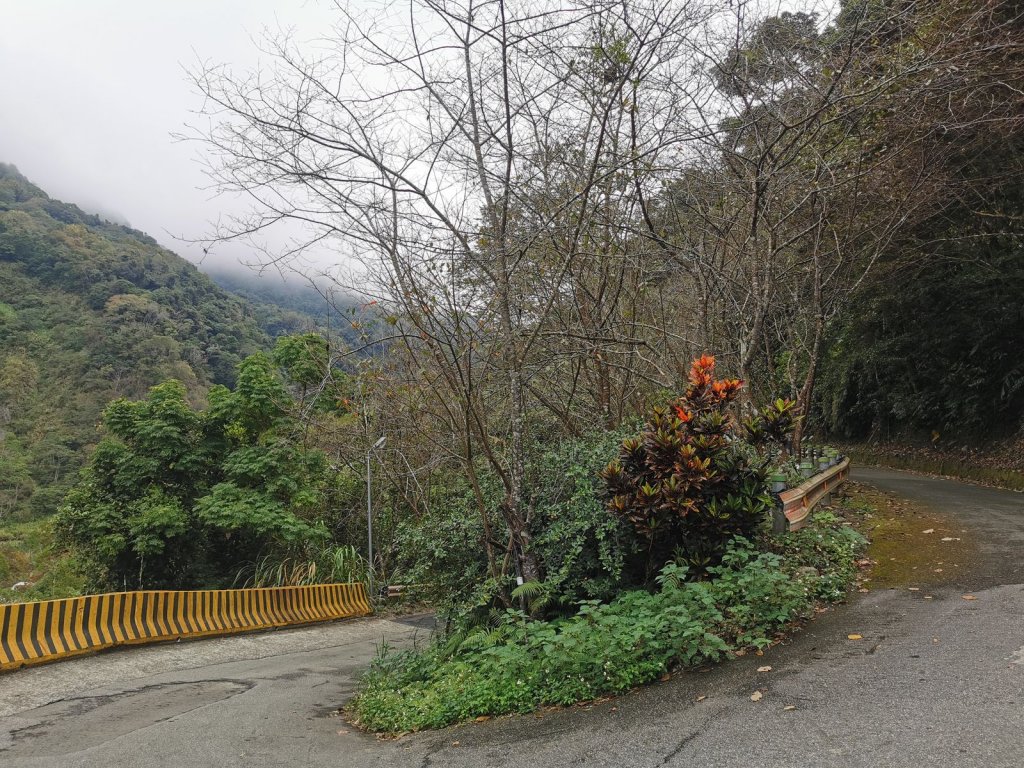 步道巡訪員 l 鳥嘴山步道11月巡訪日誌_1161278