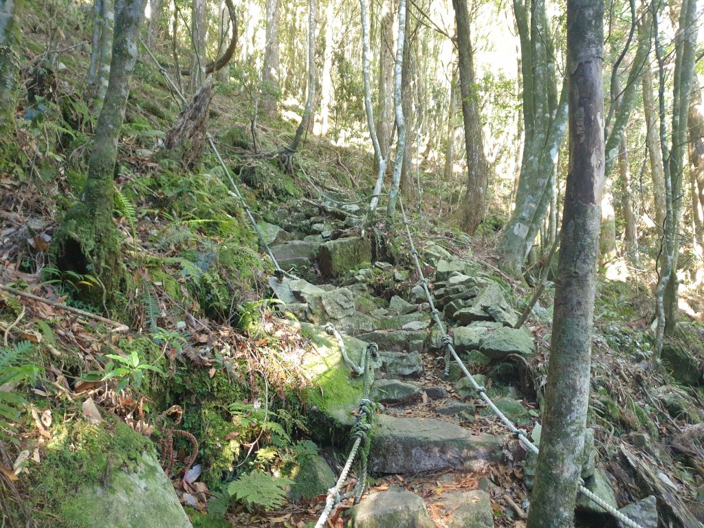 橫嶺山、沙蓮山與笛吹山_1563347