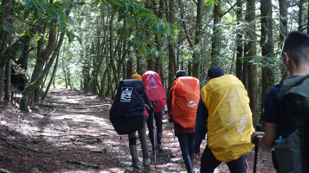 雙龍林道上巒安堂西巒大山_1778994