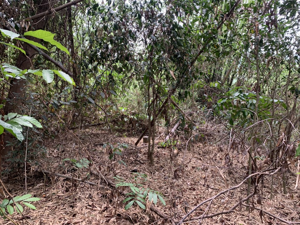 20250531屏東南勢湖山封面圖