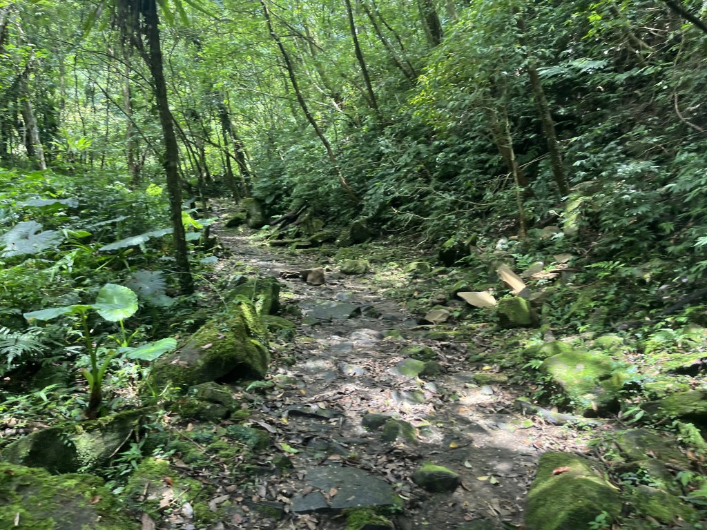 [淡蘭古道] 2024_0622 中路第五段-灣潭古道_2533994