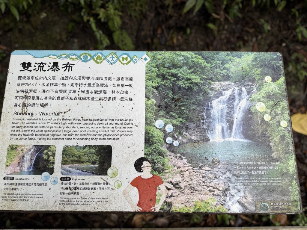 雙流帽子山悠遊  2025.01.03_2688602