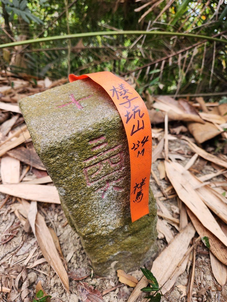 【雲林基石】檨子坑山封面圖