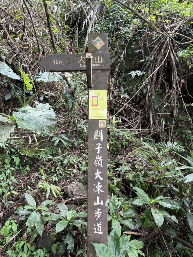 20250830台南關仔嶺大凍山步道_2914705