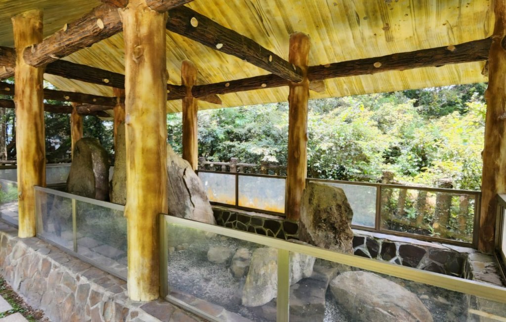 【中級山縱走】志繼山，東眼山，拉卡山，卡外山，東滿步道_2742558