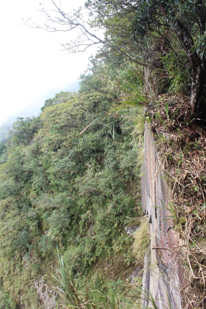 20211113嘉義石壁山-好望角-嘉南雲峰_1517209