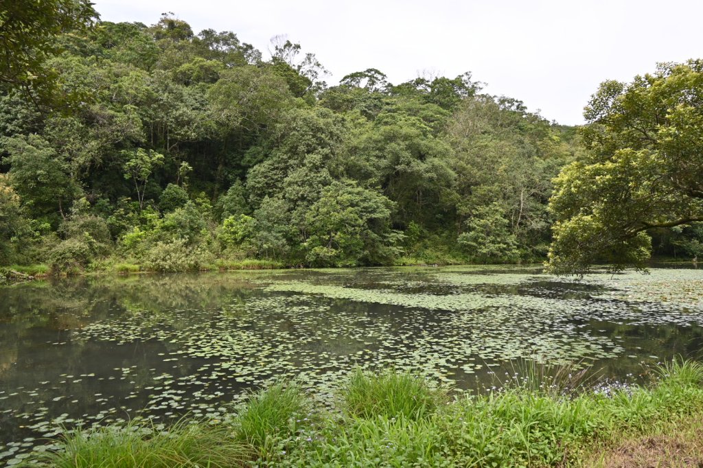 2025_0712 福山植物園_2836152