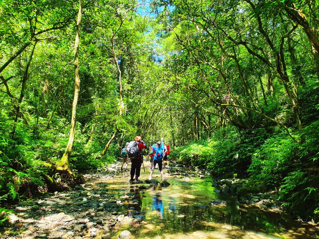 【淡蘭中路秘境】美得令人窒息的坪溪水路_1453299