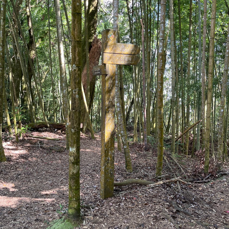 20251108_石壁山（雲林小百岳）_2941444