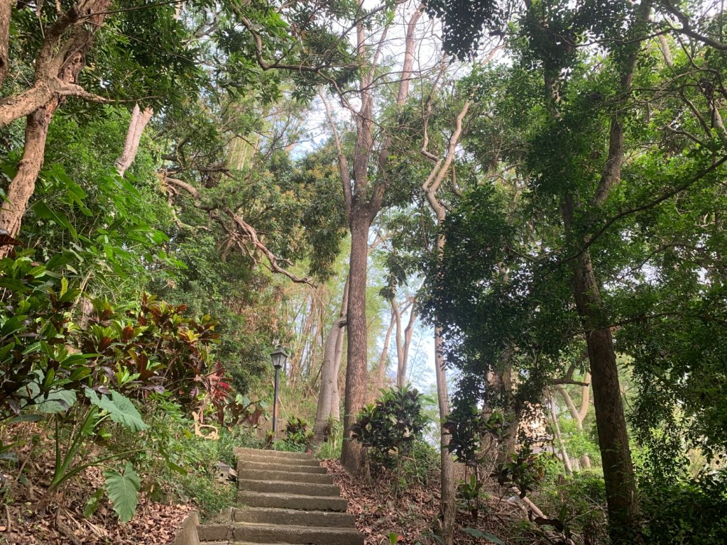 阿罩霧山、中心瓏步道_2768972