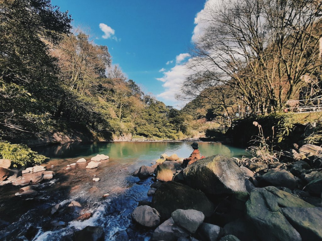 陽明山神秘綠境 • 鹿角坑保護區_2038681