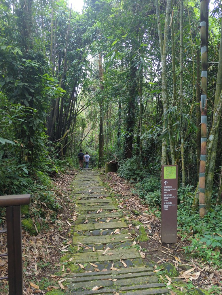 2024.10.12－會讓人迷糊的地方：迷糊步道_2627776