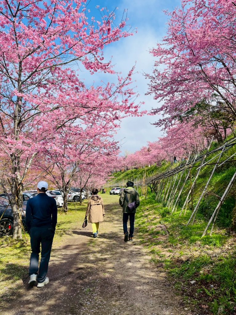 桃園 復興 巴陵 恩愛農場封面圖
