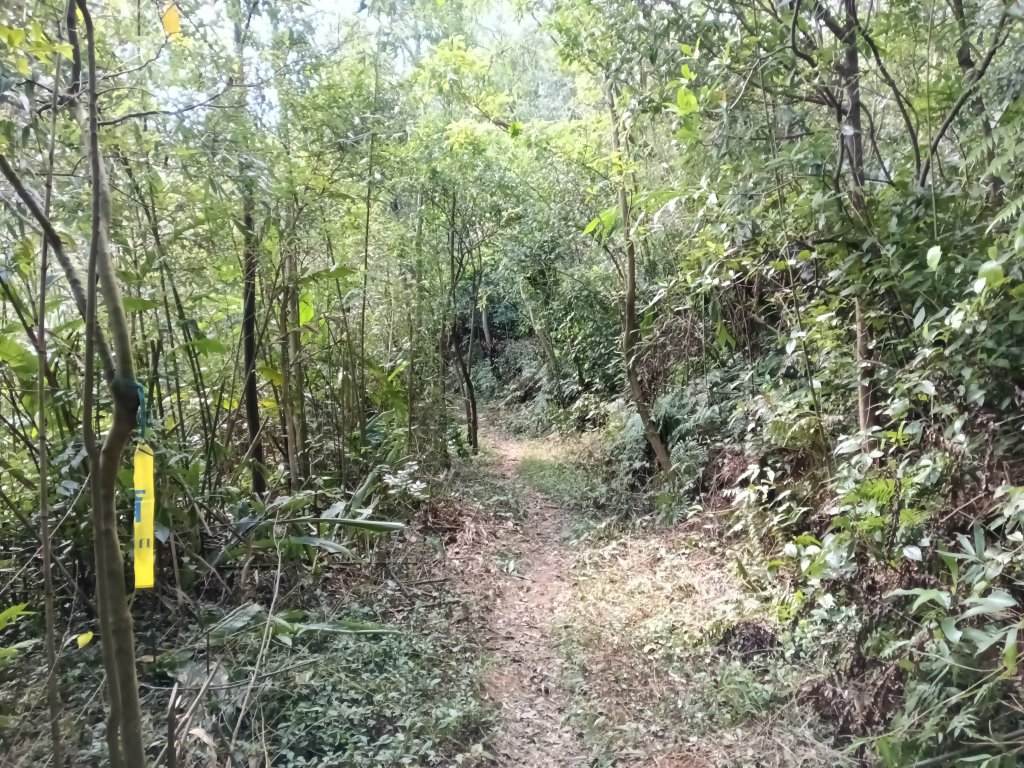 基隆市/萬里區界寮縱走之三界山+三界山西峰+開眼尖山+七分寮山+瑪七產道山泉水接水亭_2979594