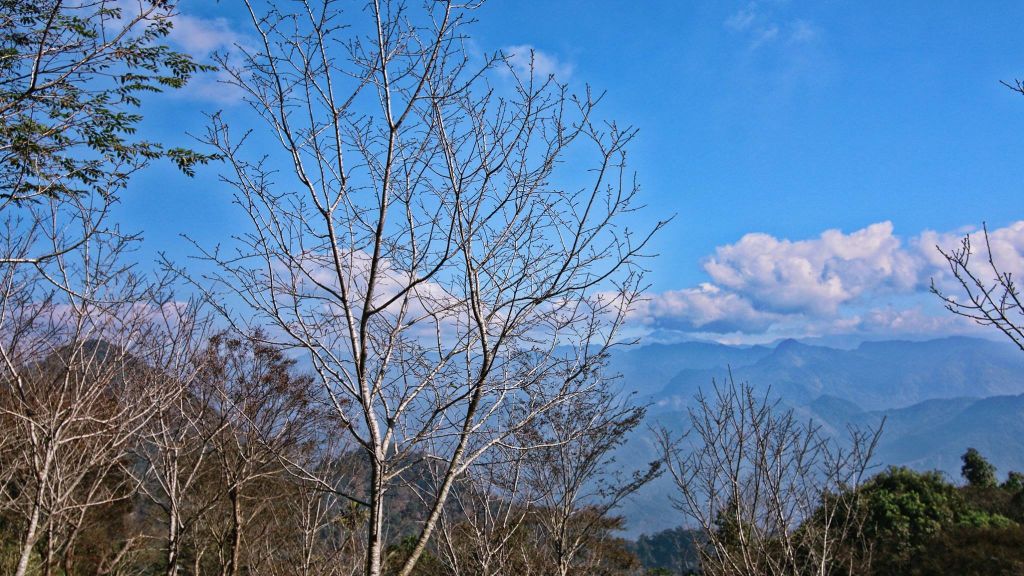 梅峰古道x伍龍步道x獵鷹尖一線天步道_235678