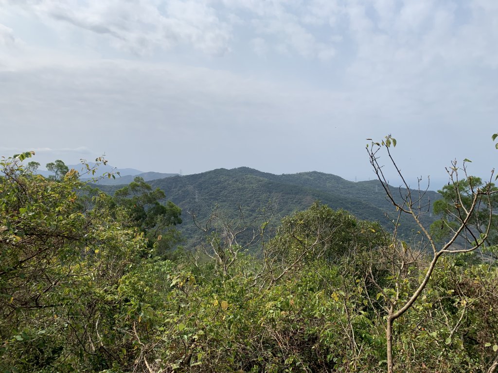 20250404屏東北獅子頭山-霧里乙山_2757401