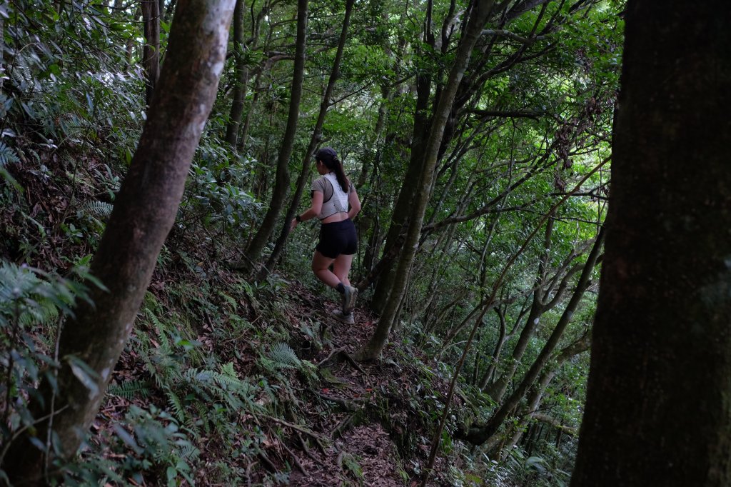 桃園復興區  東卡O縱_2823815