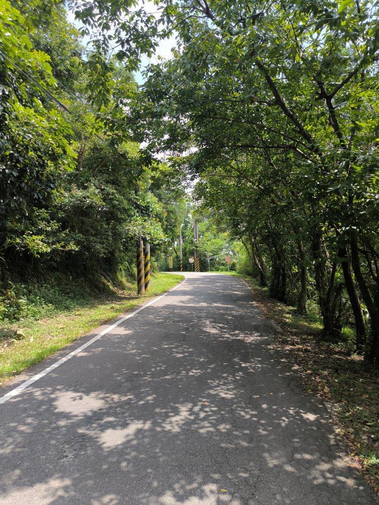 20250809樹迴縱走_2855039