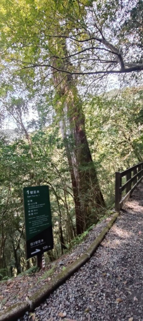 拉拉山國家森林遊樂區_2752203