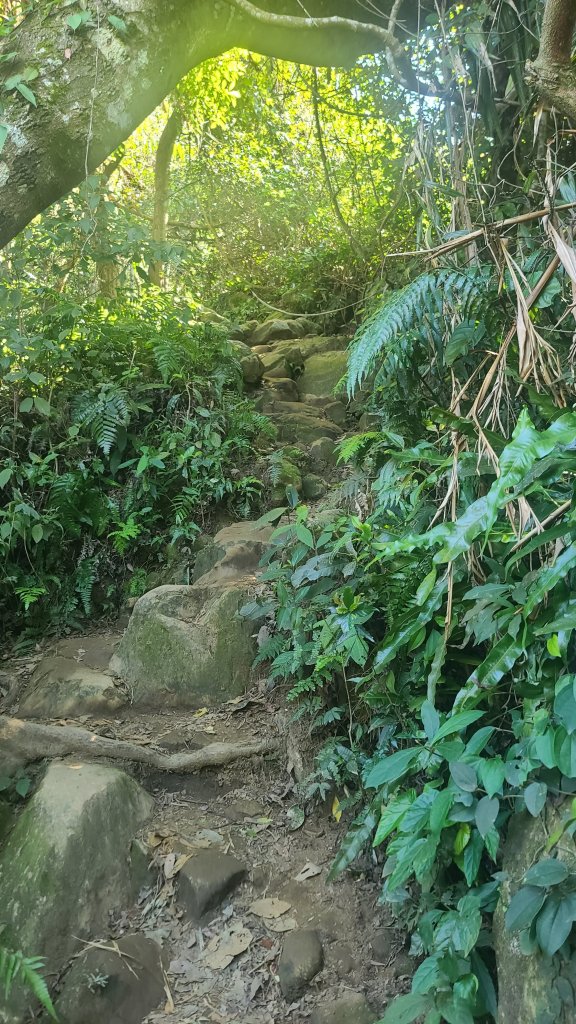 2026-0114溪州山小百岳_2984897