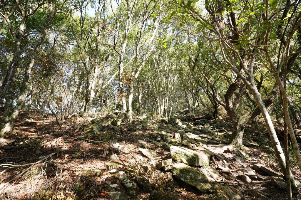 台中 和平 波津加山_2679719