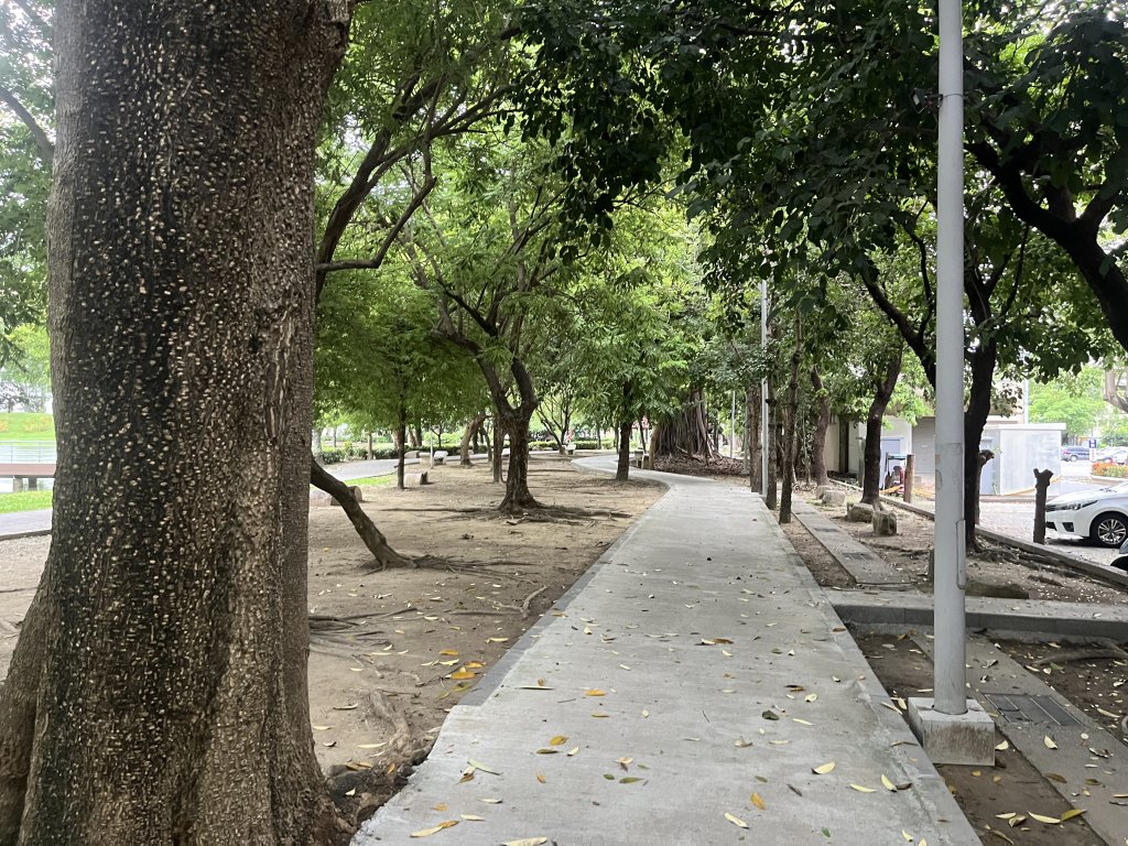 [全臺走路趣尋寶-25/100] 2024_0706_南瀛綠都心公園_2546347