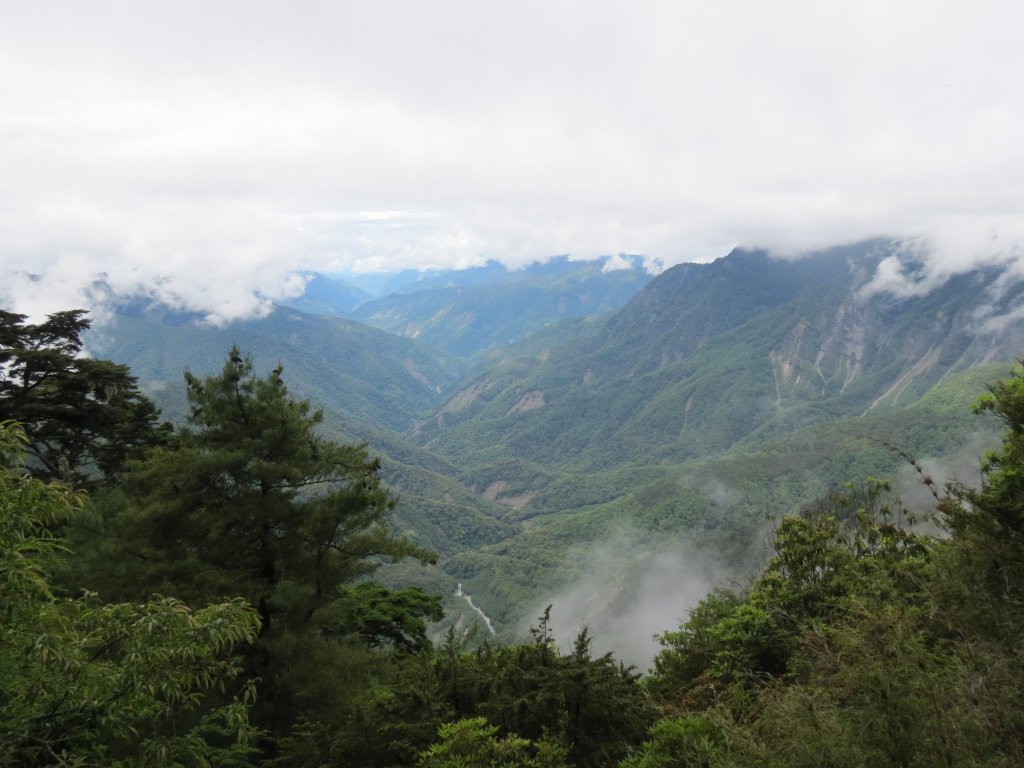 玉山主峰-前峰-排雲山莊2日_2526106