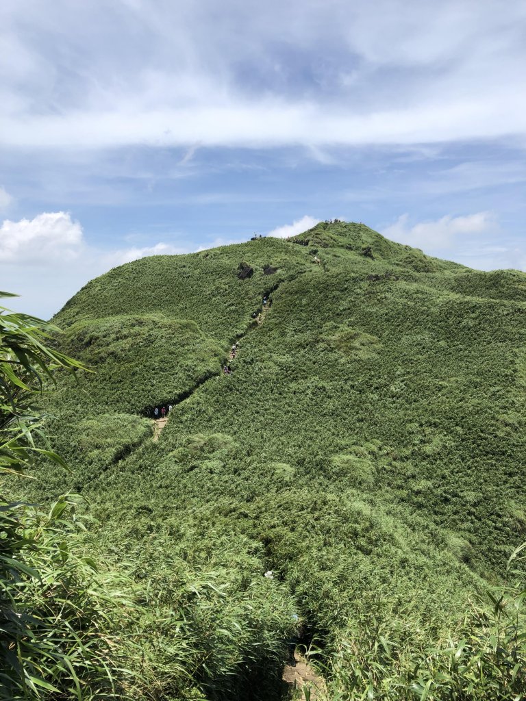 【七星山】台北第一高峰(小百岳No.2)_626115