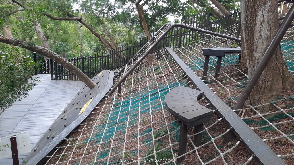 《台中》樹中有樹｜大坑步道6上7下O繞20250208_2708666