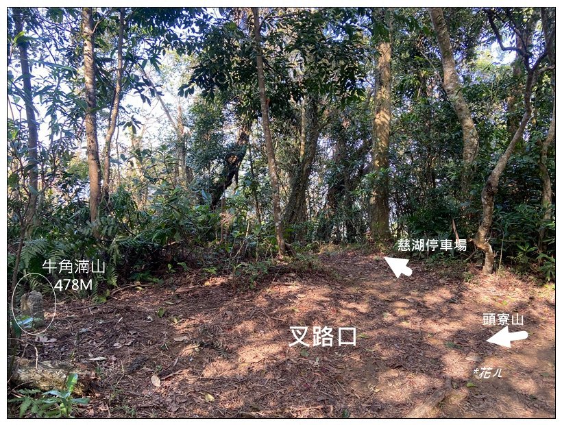 頭寮山、內湳溝山、牛角湳西南峰O型連走_2738962