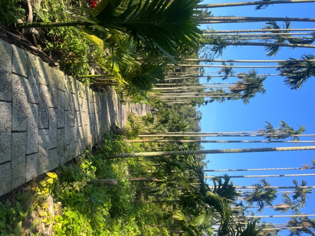 雲嘉五連峰_2735841